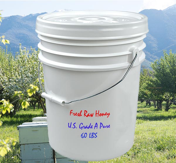 Honey Pail with Lid - 5 Gallon- On Farm Pickup Only